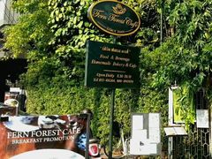 -Fern Forest Cafe