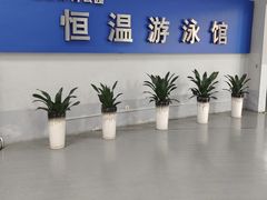 -福田体育公园游泳馆