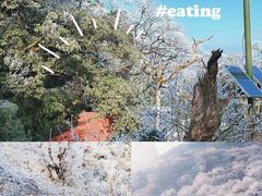 -梵净山旅游区