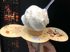 -野人先生现做冰淇淋(西安赛格店)