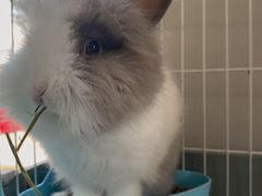 -小意思咖啡店(草桥店)