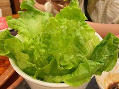 生菜-老码头火锅(玉林店)