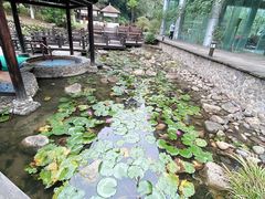 -明月山天沐温泉度假村