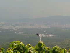 -火炉山森林公园