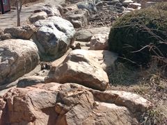 -大连植物园