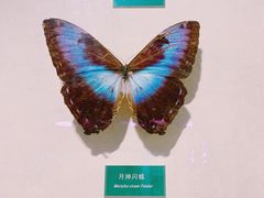 -陕西自然博物馆