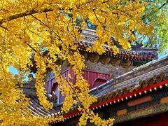 -承恩寺