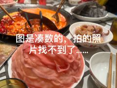-巴奴毛肚火锅(九洲店)