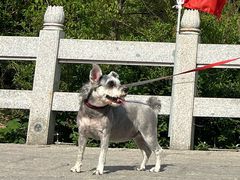 -天津盘山风景名胜区