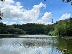 -深圳仙湖植物园