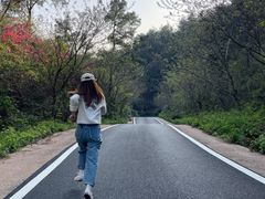 -木兰云雾山