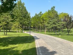 -北坞公园