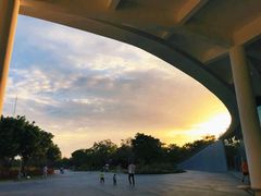 -福田红树林生态公园