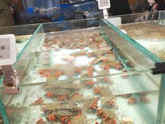 -哈尔信食品超市(哈尔滨王府井购物中心店)