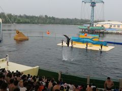 -秦皇岛乐岛海洋王国