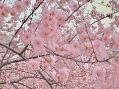 -月湖风景区
