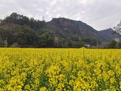 -温州永嘉书院