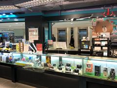 -百老汇(海港城海洋中心店)