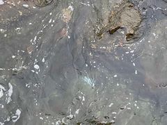 -东澳岛