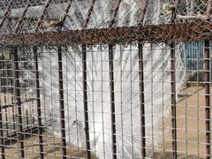 -沈阳森林动物园