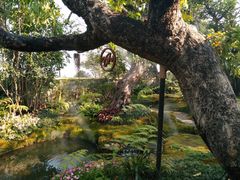 -Chom Cafe and Restaurant