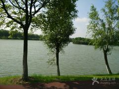 -艾溪湖湿地公园