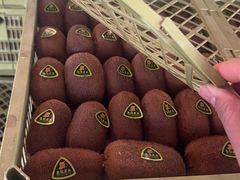 -东方鼎信农副产品交易中心