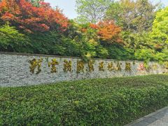 -重庆彩云湖湿地公园