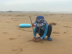 -日照海滨国家森林公园