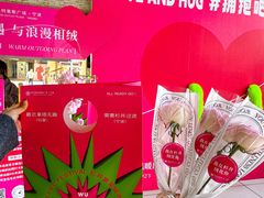 -宁波杉井奥特莱斯广场