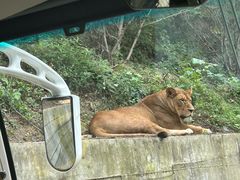 -栾川竹海野生动物园