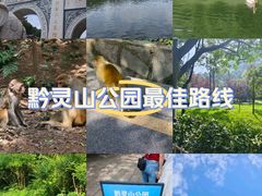 -黔灵山公园
