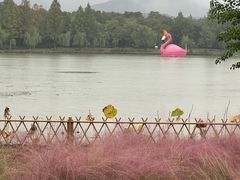 -云龙湖旅游景区