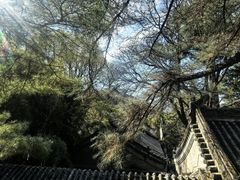 -潭柘寺景区
