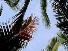 -石梅湾艾美度假酒店