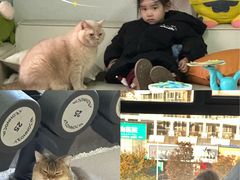 -山之尖健身