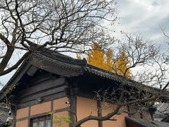 -锦溪古镇