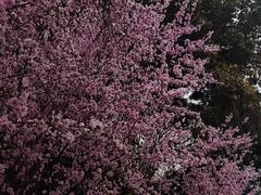 -狼山风景名胜区