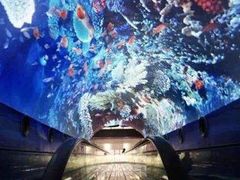 -成都浩海立方海洋公园