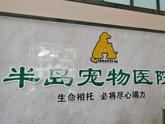 -半岛宠物医院24小时(科华中路店)