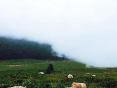 -芦芽山旅游度假区
