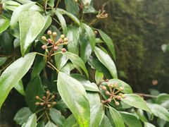 -山王坪喀斯特国家生态公园