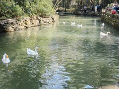 -兰亭风景区