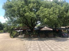 -宝岩生态观光园