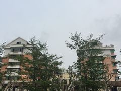 -全乐鱼馆·淳牌有机鱼直营店