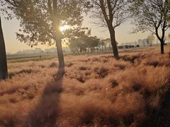 -汉长安城未央宫国家考古遗址公园