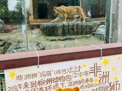 -柳州市动物园