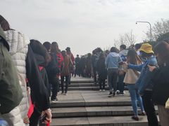 -武汉大学-樱园