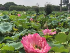 -嘉北郊野公园