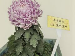 -小榄人家酒楼(民安店)